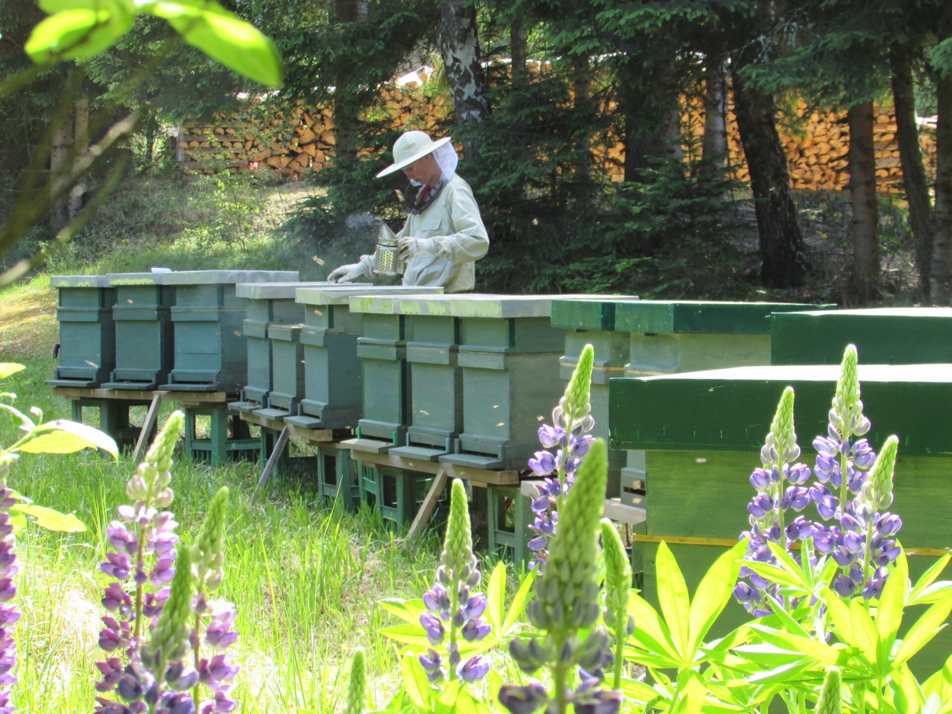 Bienen